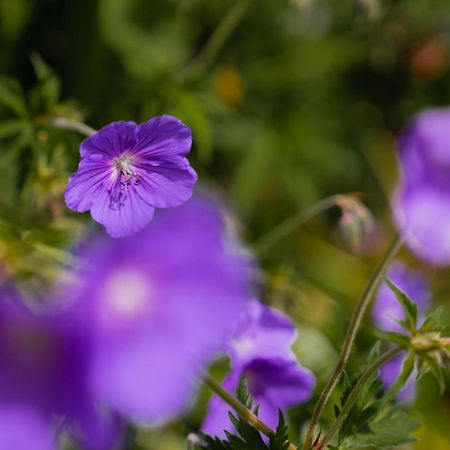 Oberlech750. Refugium Am Berg. Διαμέρισμα Εξωτερικό φωτογραφία